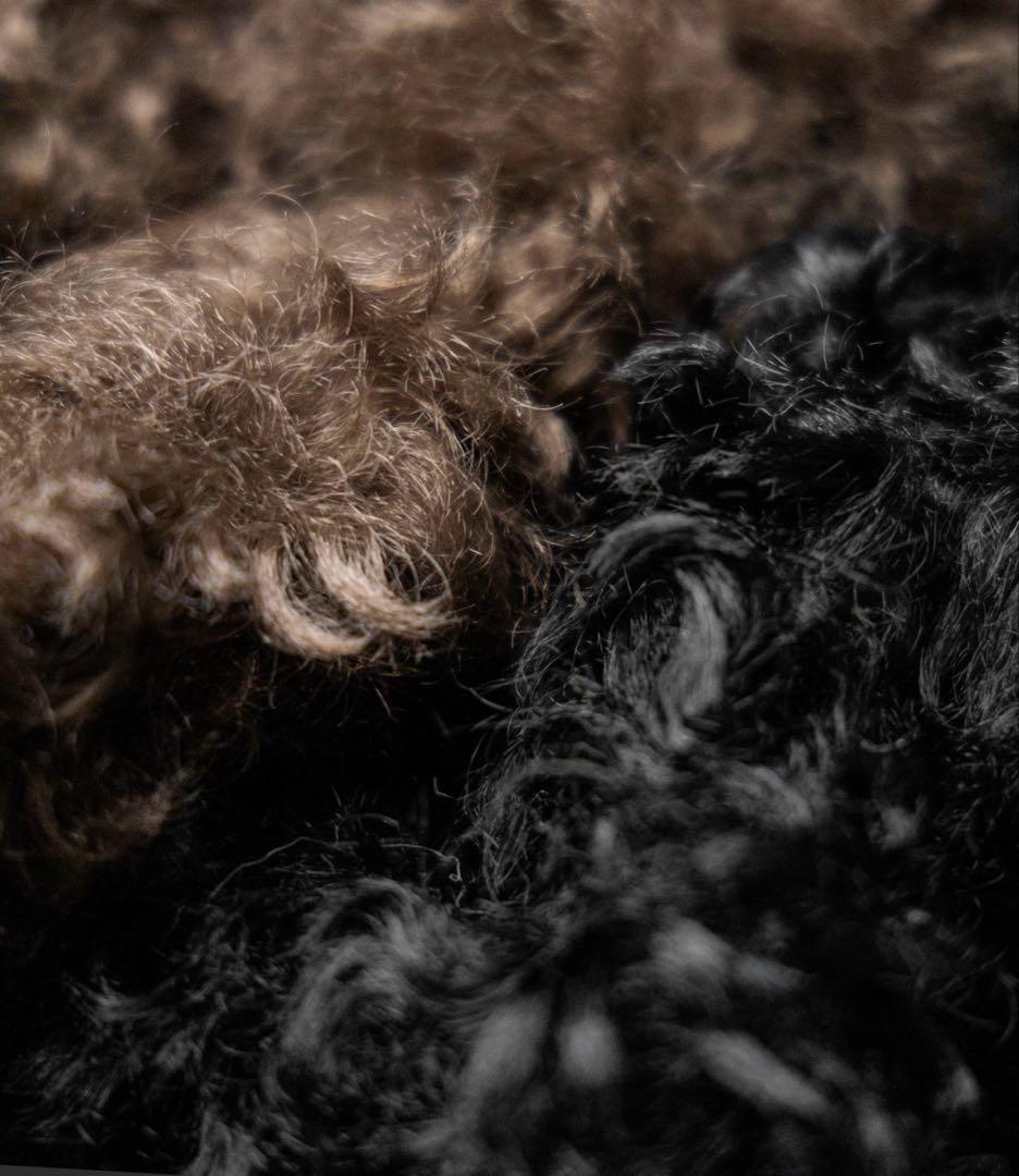 ジップアップベアボアショートコート ジップアップベアボアショートコート