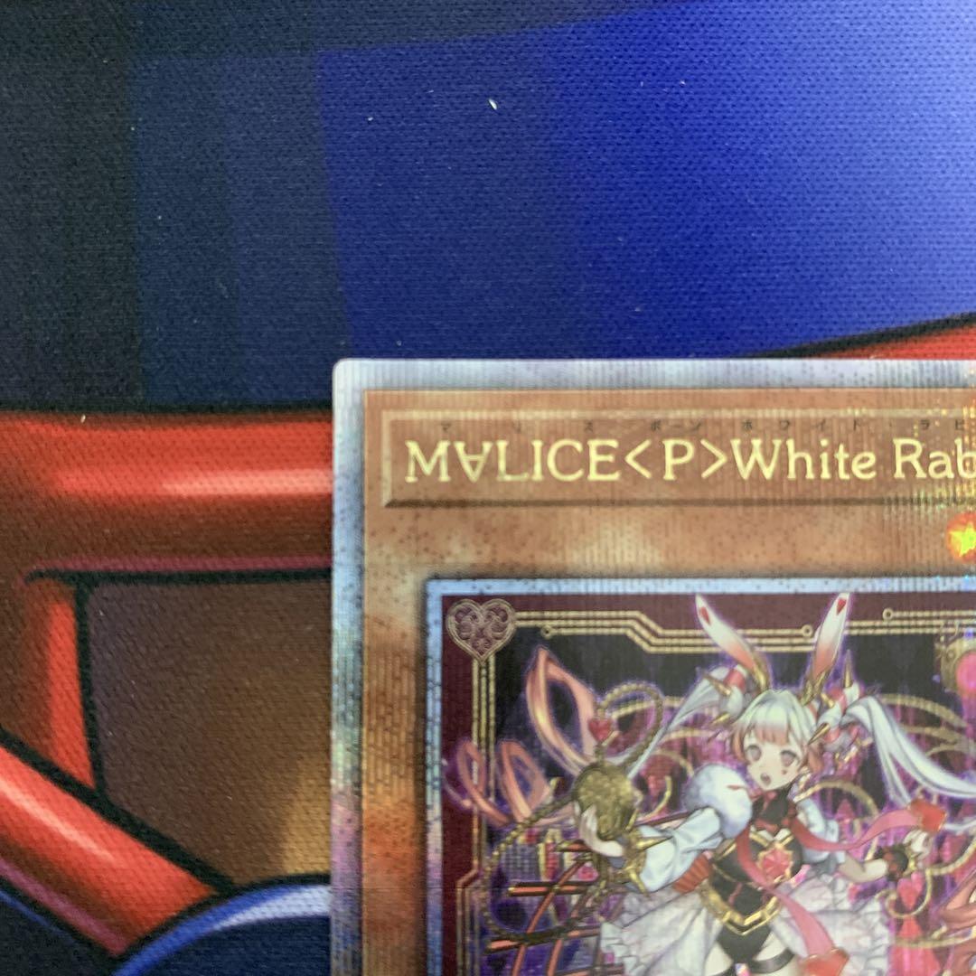 M∀LICE<P>White Rabbit ホワイトラビット QCシク クオシク M∀LICE<P>White Rabbit ホワイトラビット QCシク クオシク