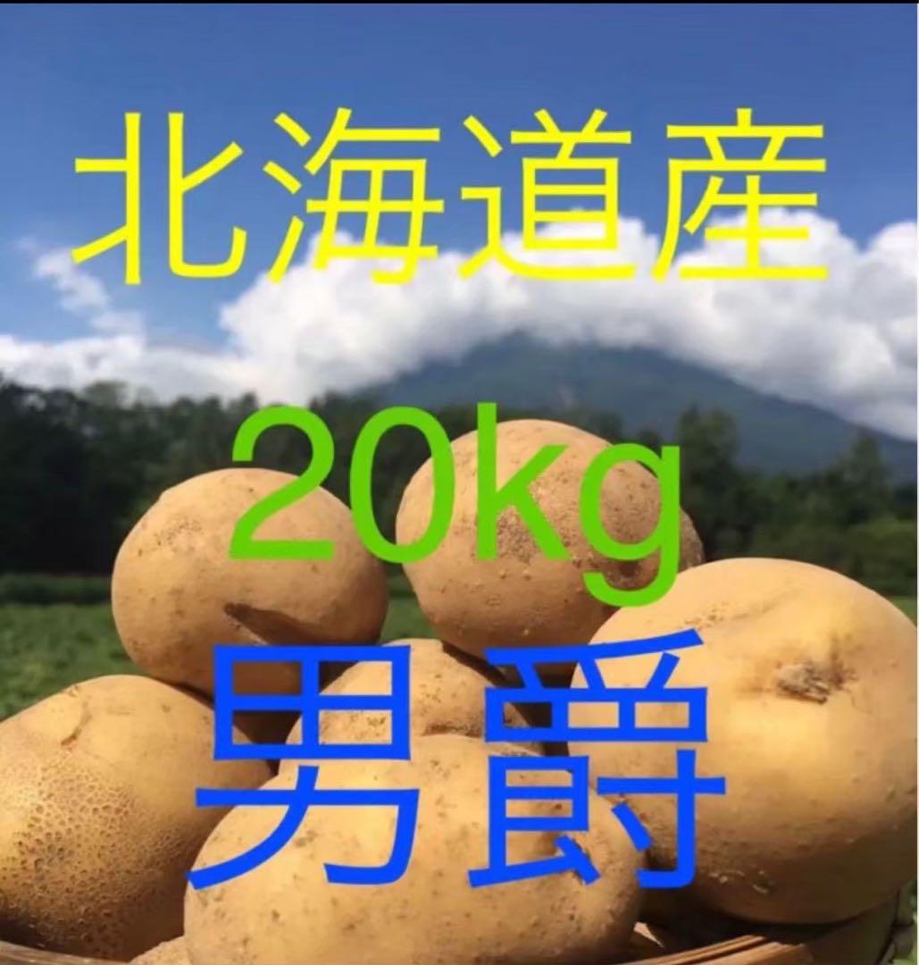 テリー20様　京都山城産　朝掘り筍訳あり5kg テリー20様 京都山城産 朝掘り筍訳あり5kg
