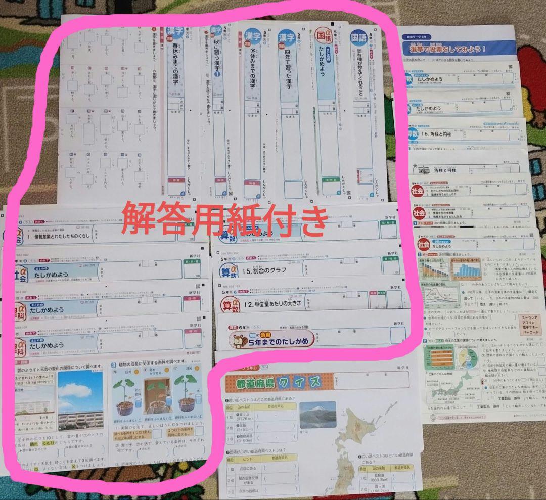 新学社 2024〜2025年 小学5年生 未記入 解答付きカラーテスト