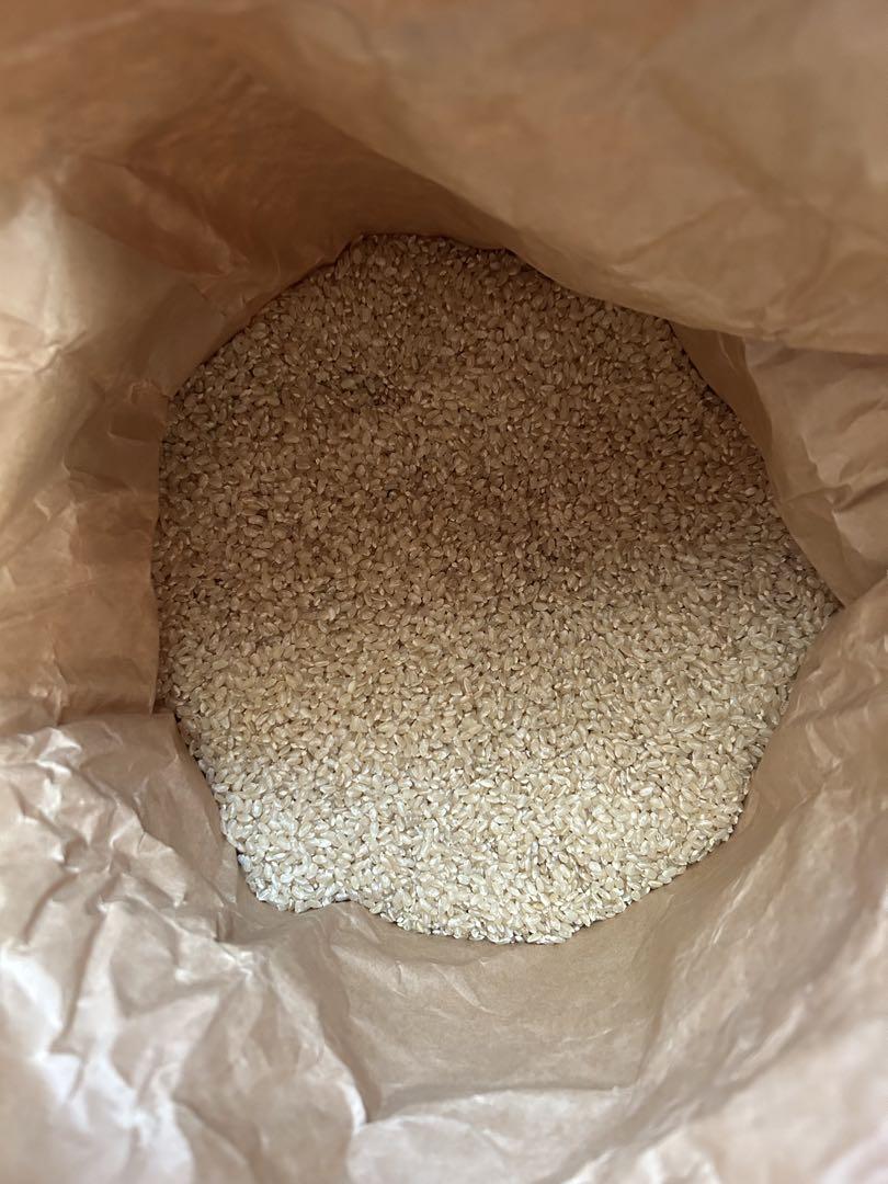 2023年産　15kg 玄米