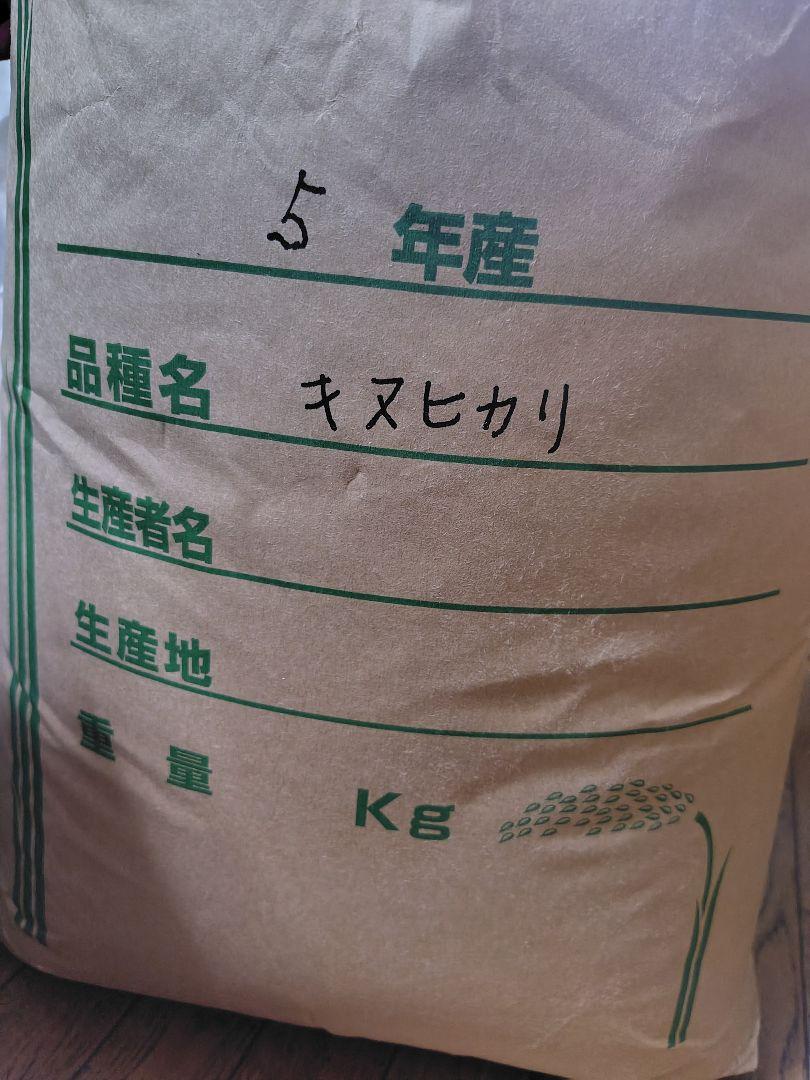 キヌヒカリ 5年産 米