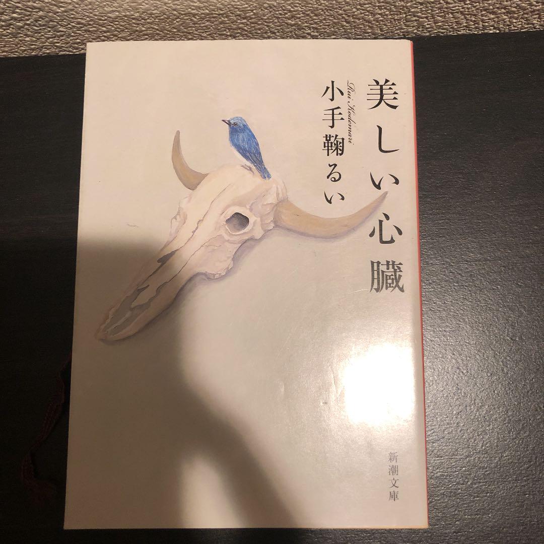 美しい心臓 小手鞠るい メルカリ No 1フリマアプリ