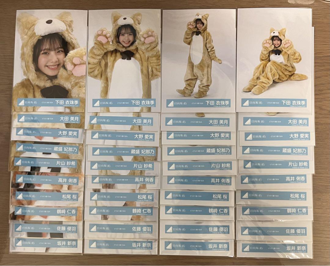 日向坂46 5期生　どうぶつ着ぐるみ　生写真　フルコンプ