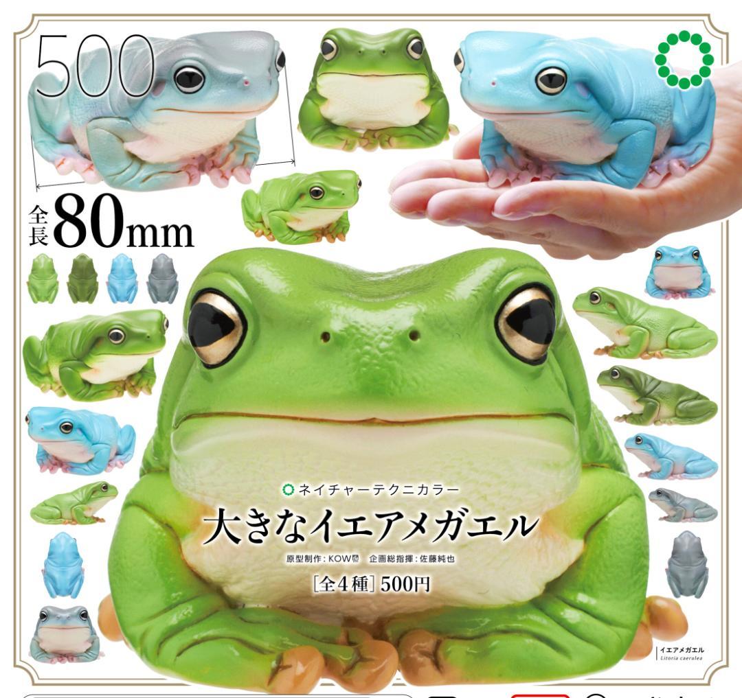 全4種フルコンプセット【ネイチャーテクニカラー 大きな