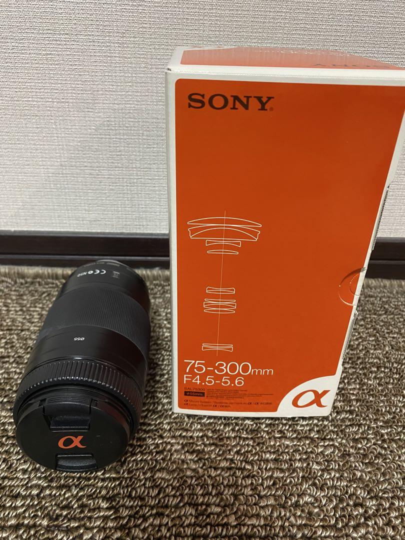 Sony α55 デジタル一眼レフカメラダブルズームレンズキットタムロン　バッグ