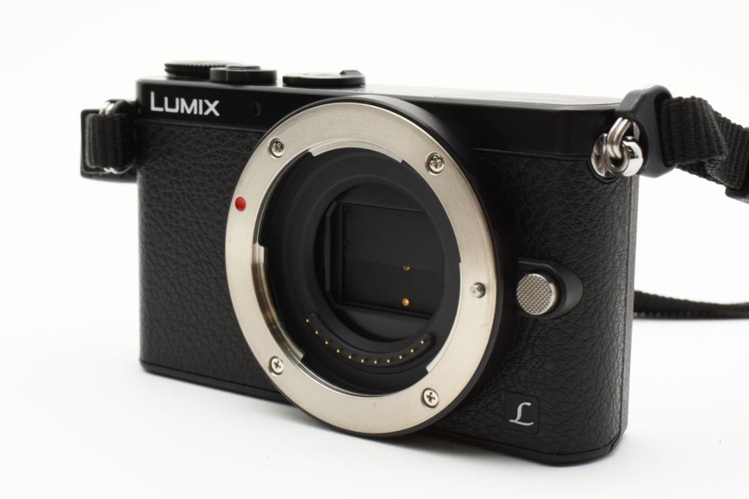 新品級 パナソニック LUMIX DMC-GM1K デジタルボディ B558