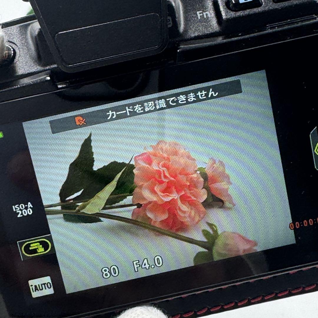 ✨極美品✨OLYMPUS PEN Lite E-PL5 レンズキット 黒 ケース