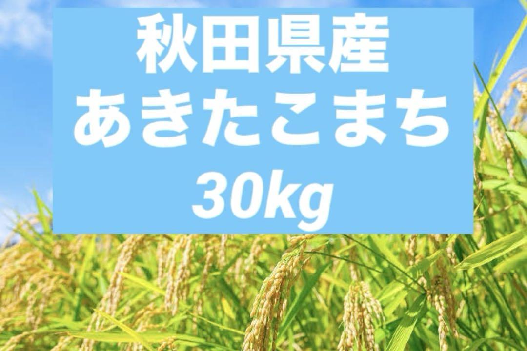 あきたこまち　30キロ