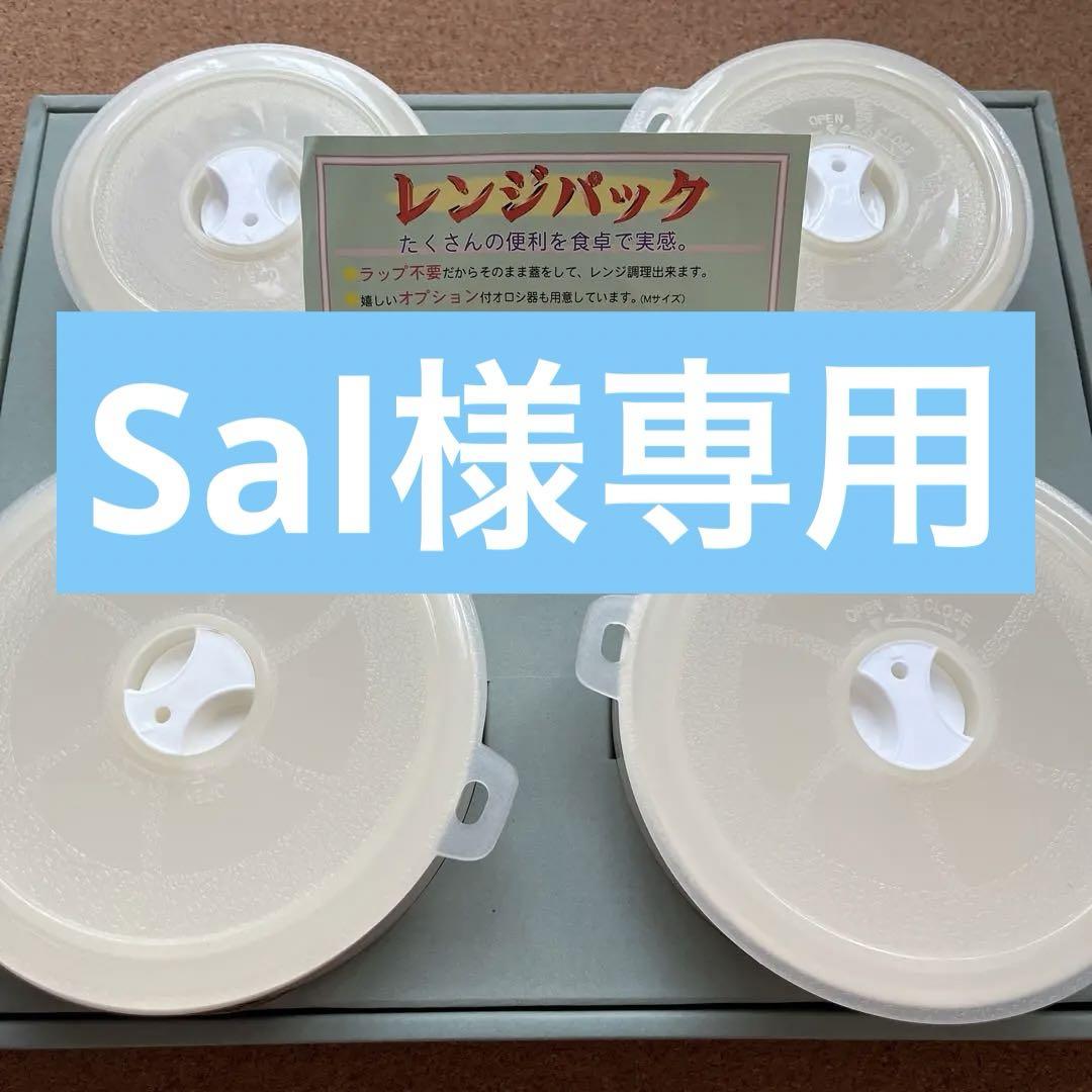 HOYA レンジパック  蓋ごとレンジ  大小セット  4個  ホーヤ