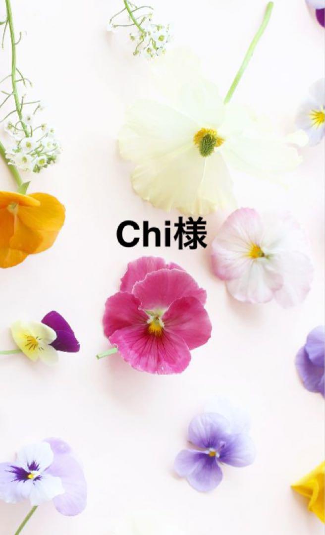 Chi出品になります。
