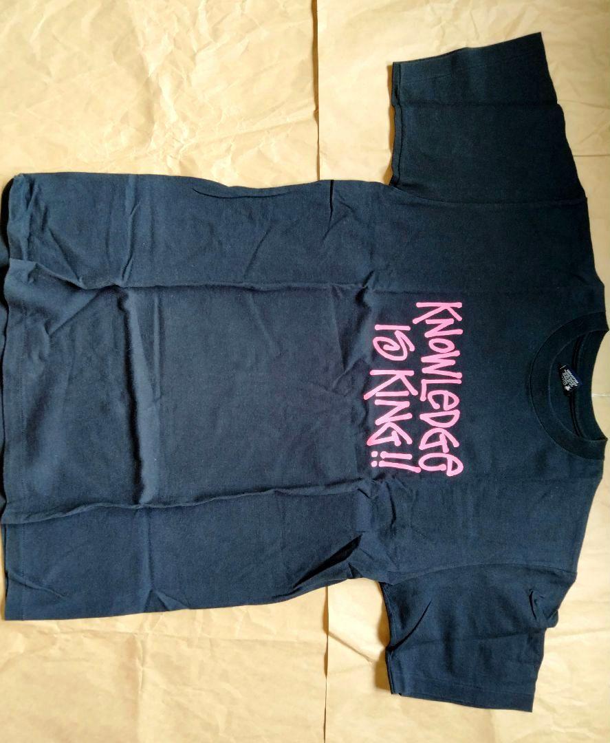 STUSSY ステューシー Tシャツ スケシン ビンテージ 90s USA製 トップス