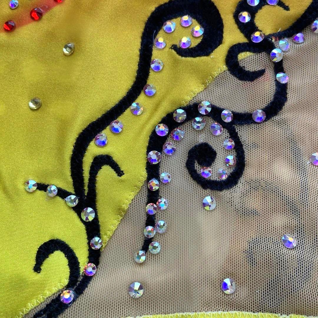 新体操 レオタード ロングスリーブ CL 新体操 レオタード ロングスリーブ CL