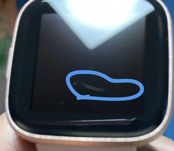 人気新作 Fitbit ペタル カッパーローズ アルミニウム ODmei-m14805427776 VERSA 2 高評価安い