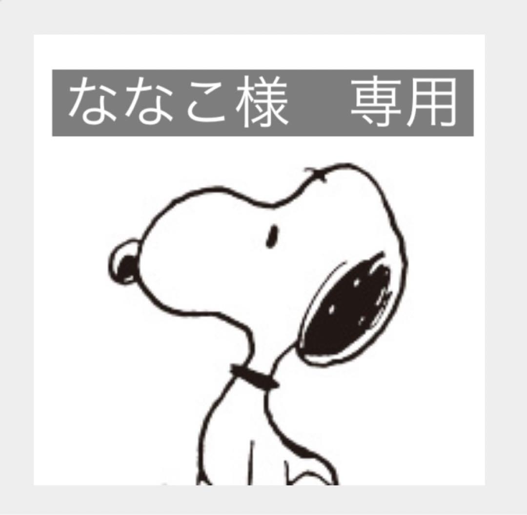 ななこ様　専用　ダンボール120サイズ　詰め放題