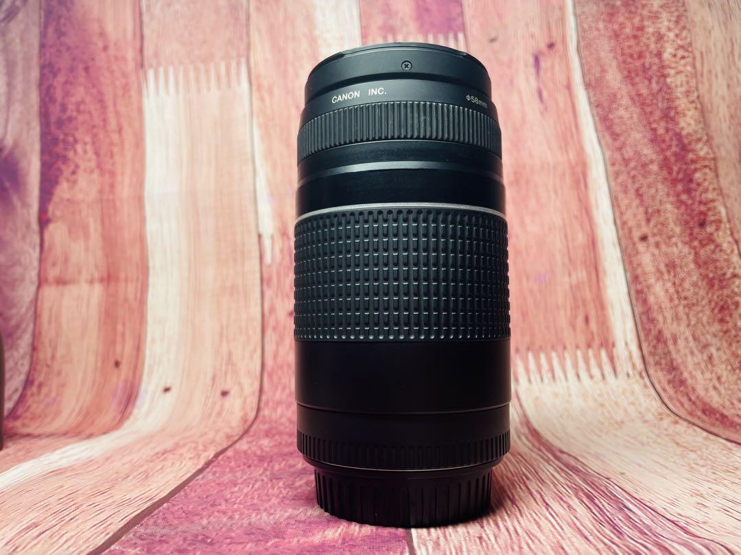Canon キャノン EF 75-300mm 1:4-5.6 Ⅲ