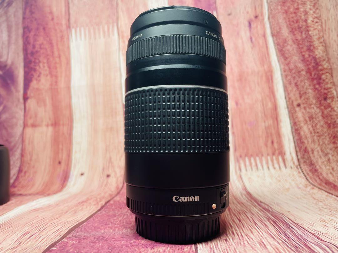 Canon キャノン EF 75-300mm 1:4-5.6 Ⅲ