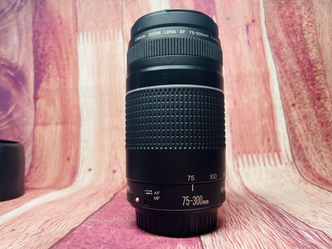Canon キャノン EF 75-300mm 1:4-5.6 Ⅲ
