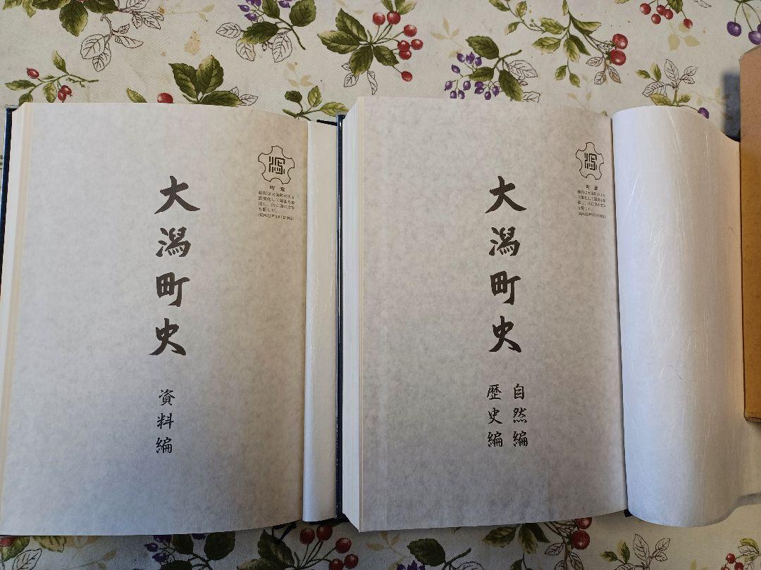 大潟町史