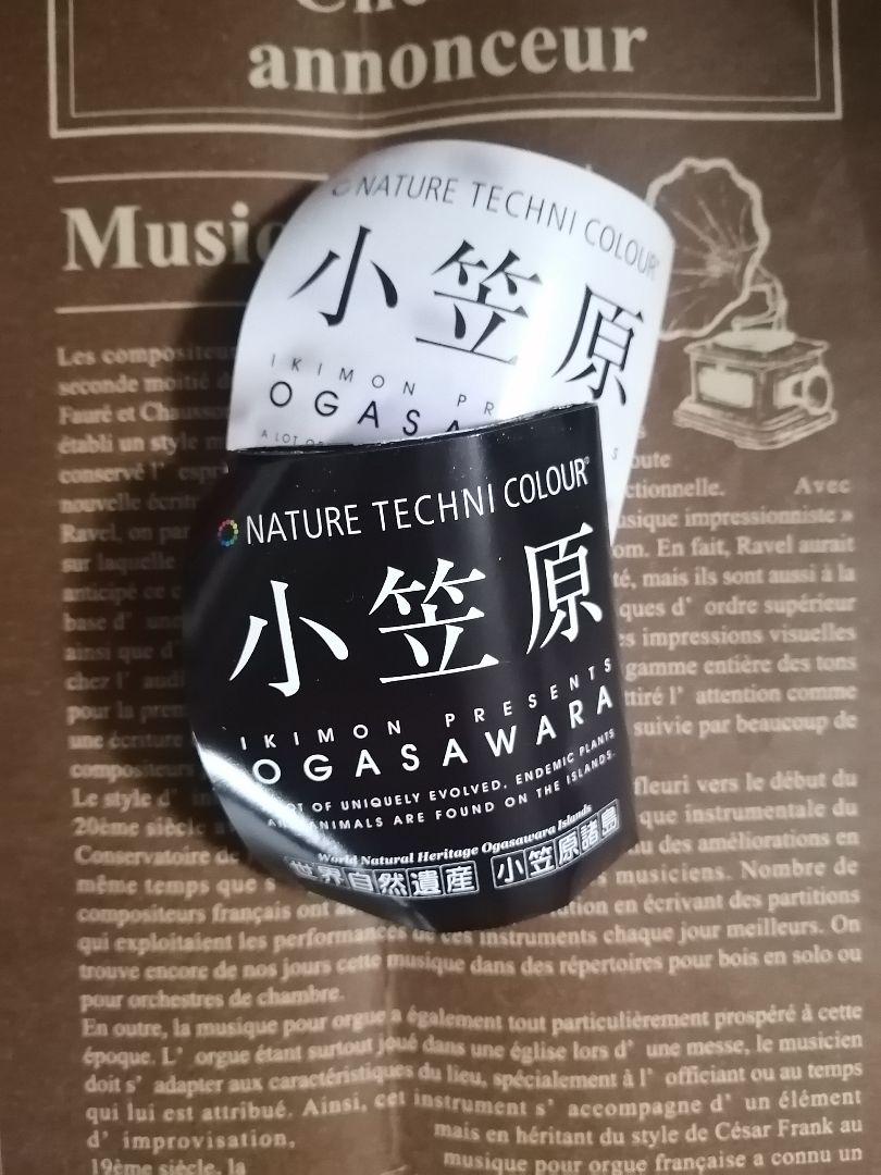 ネイチャーテクニカラー 小笠原