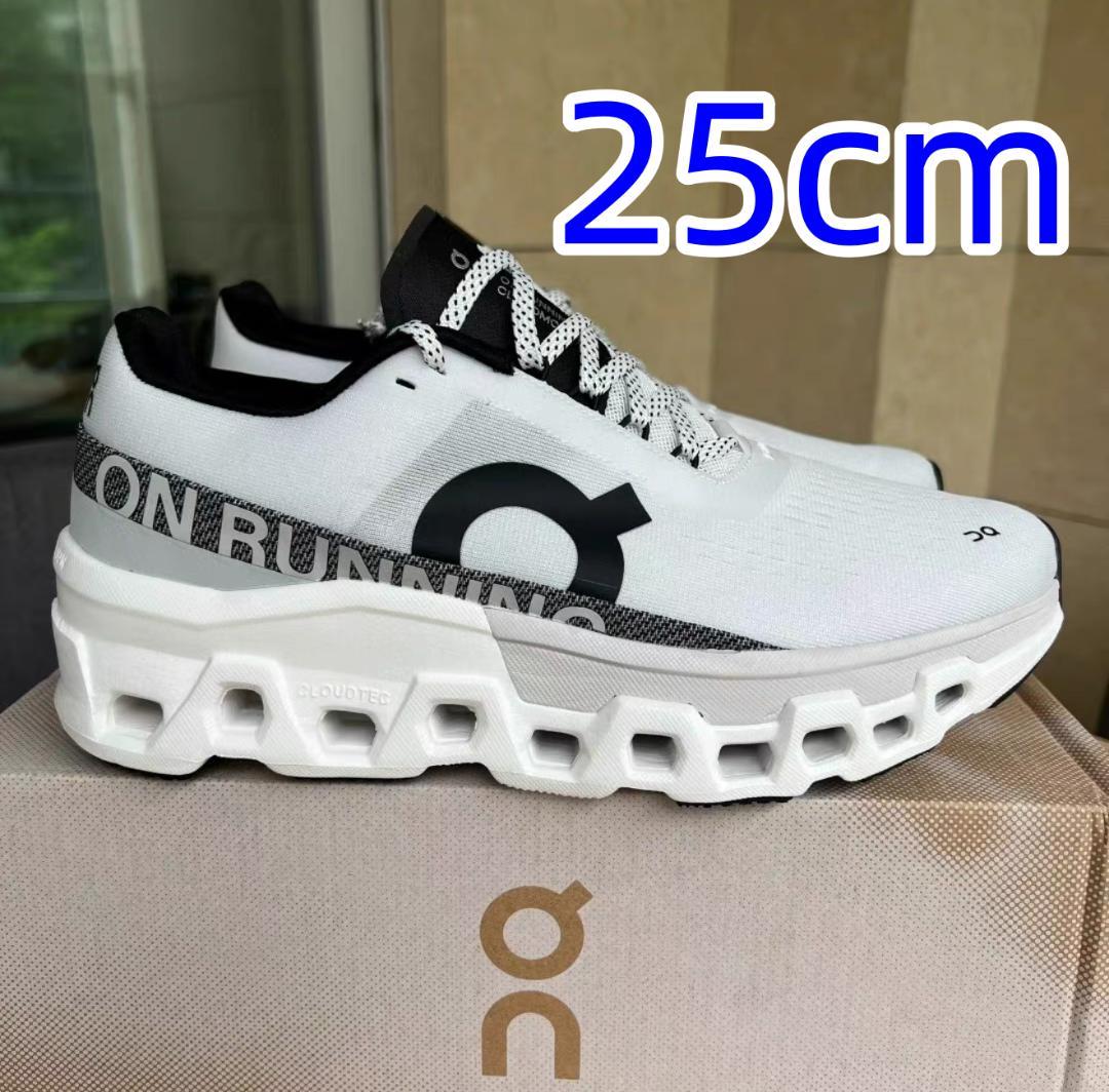 新品未使用 ON Cloudmonster 2 スニーカー ホワイト 25cm