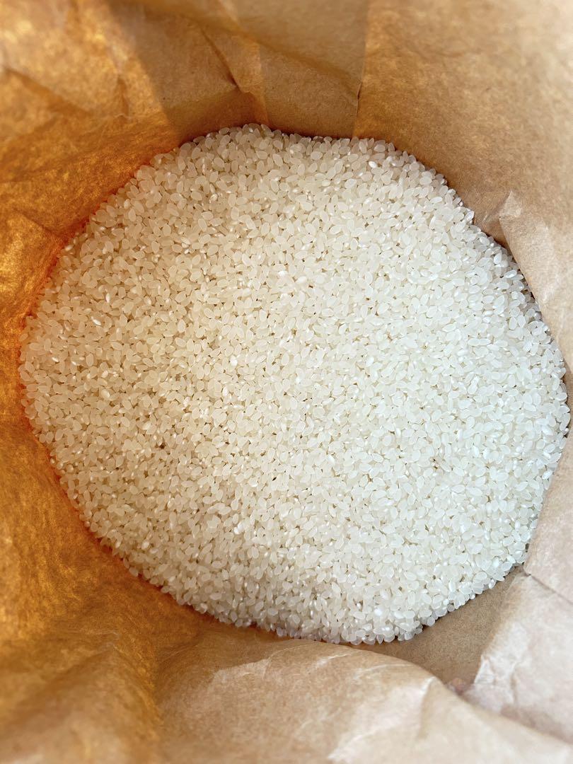 ひとめぼれ　10kg 令和4年秋収穫