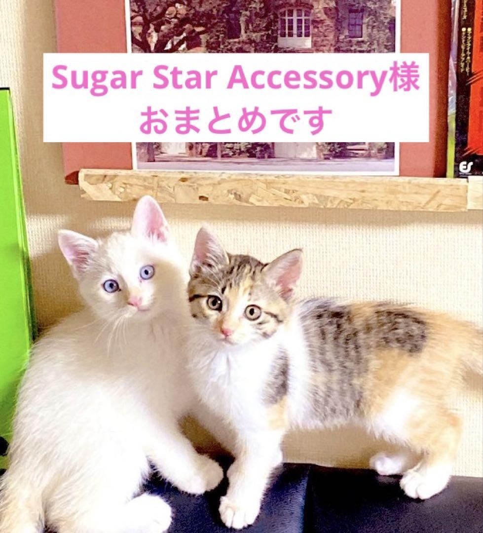 Sugar Star Accessory様 リクエスト 3点 まとめ商品