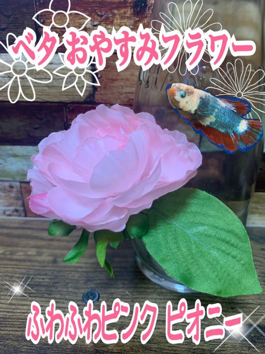 ベタ おやすみフラワー ふわふわ ピンクピオニー 超柔らか素材 - メルカリ ベタ おやすみフラワー ふわふわ ピンクピオニー 超柔らか素材 - メルカリ