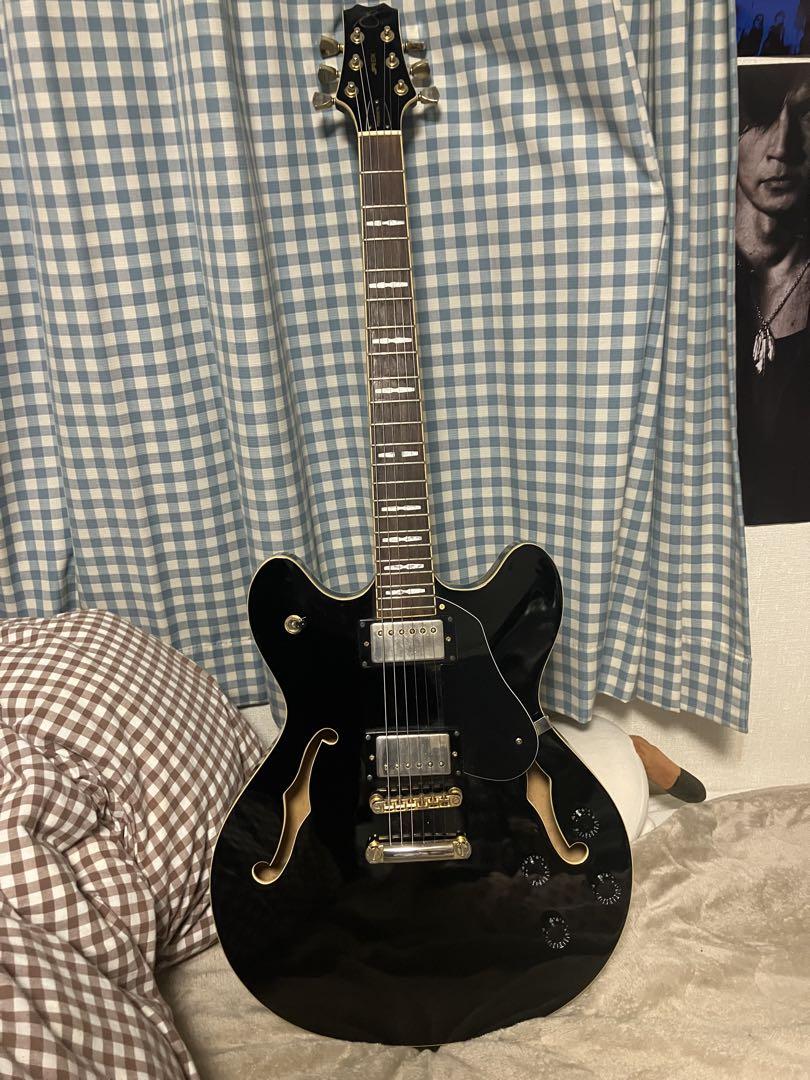 peavey JF1EX セミアコ　ギター