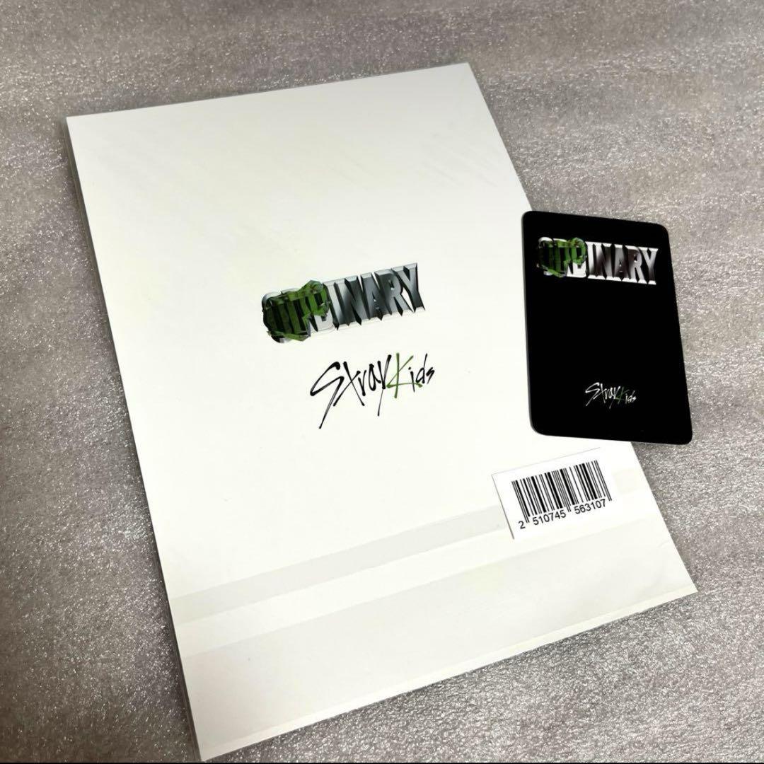 stray kids スンミントレカ