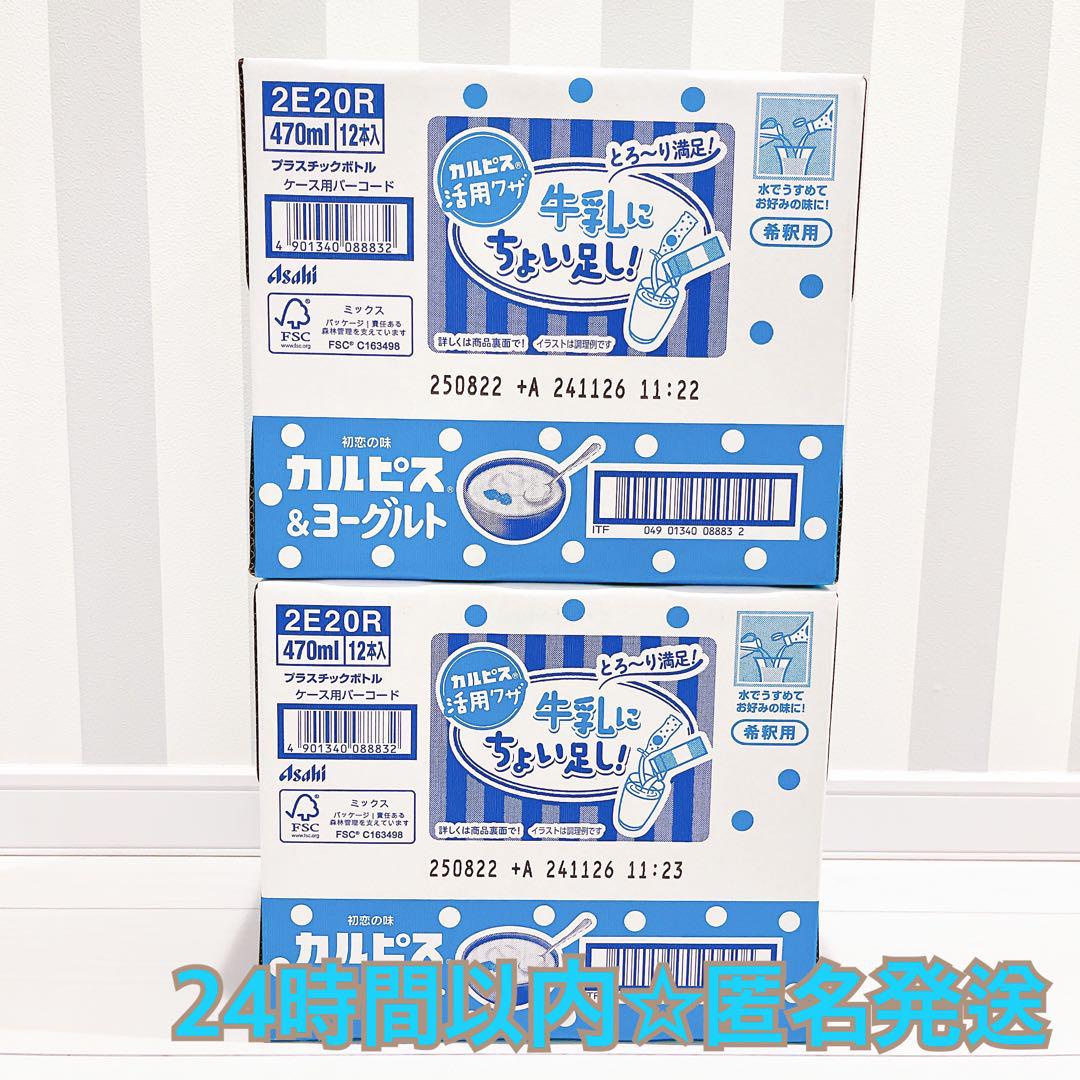 【２４本セット】〈賞味期限８月✨〉カルピス＆ヨーグルト　原液　希釈用　カルピス