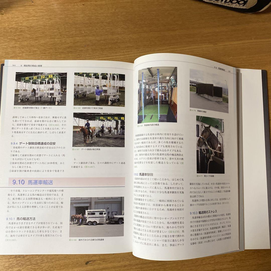 お買い得なセール商品 競走馬ハンドブック = THE RACEHORSE HANDBOOK