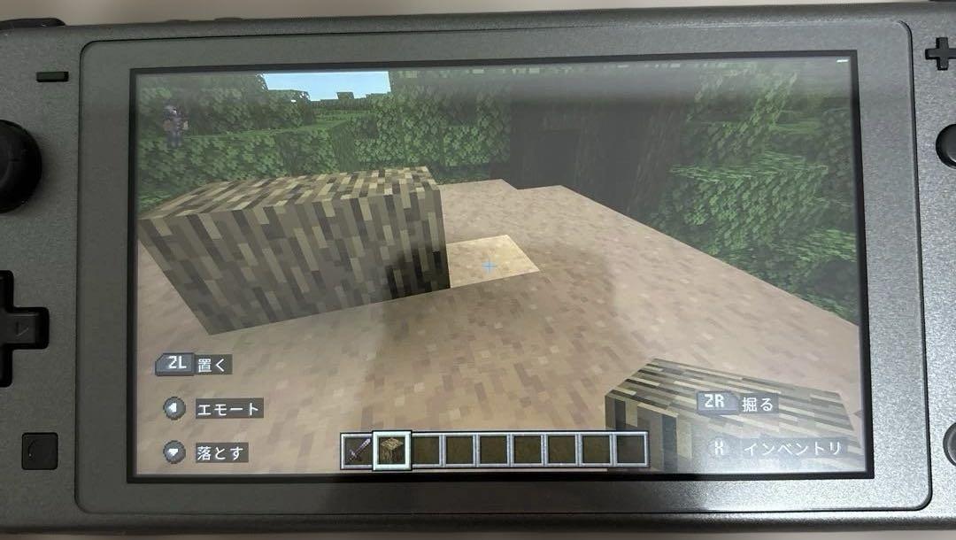 即購入可‼︎ 任天堂Switch Lite ディアルガ・パルキア
