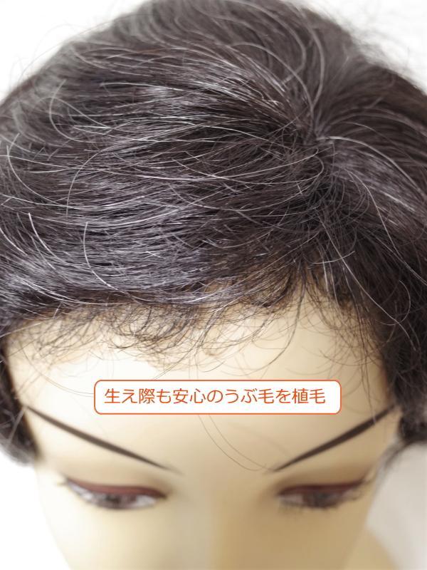 総手植え製ウェーブ