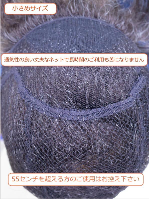 総手植え製ウェーブ