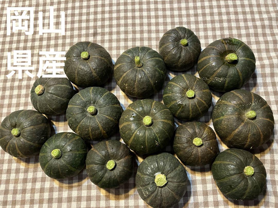 かぼちゃ Sakes de pumpkin】かぼちゃ焼酎 500ml 通販【ニッセン】