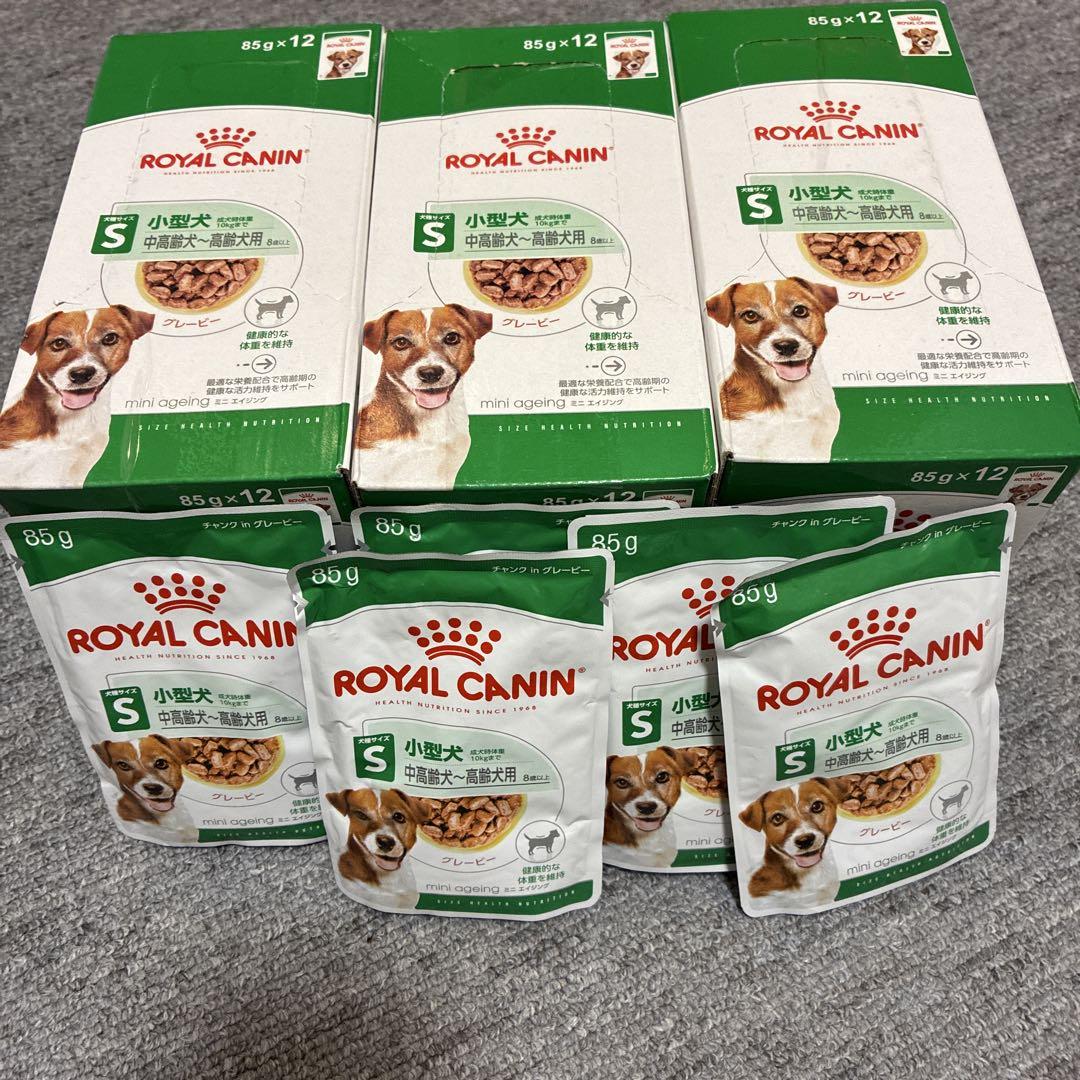  CANIN 小型犬中高齢犬〜高齢犬グレービー85g×41個