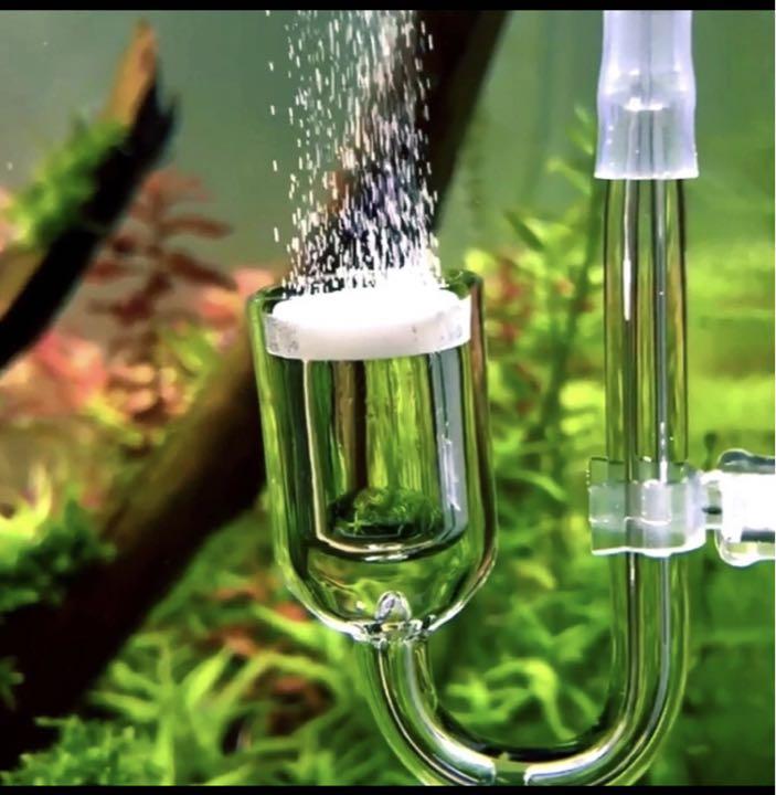 アクアリウム 水槽 水草 二酸化炭素 Co2 ディフューザー 添加装置 メルカリ