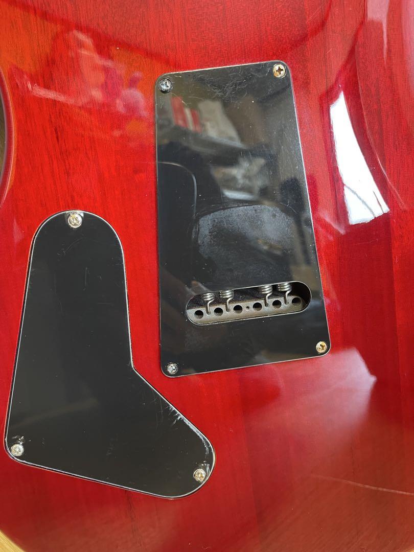 PRS(Paul Reed Smith) ポールリードスミス SE エレキギター