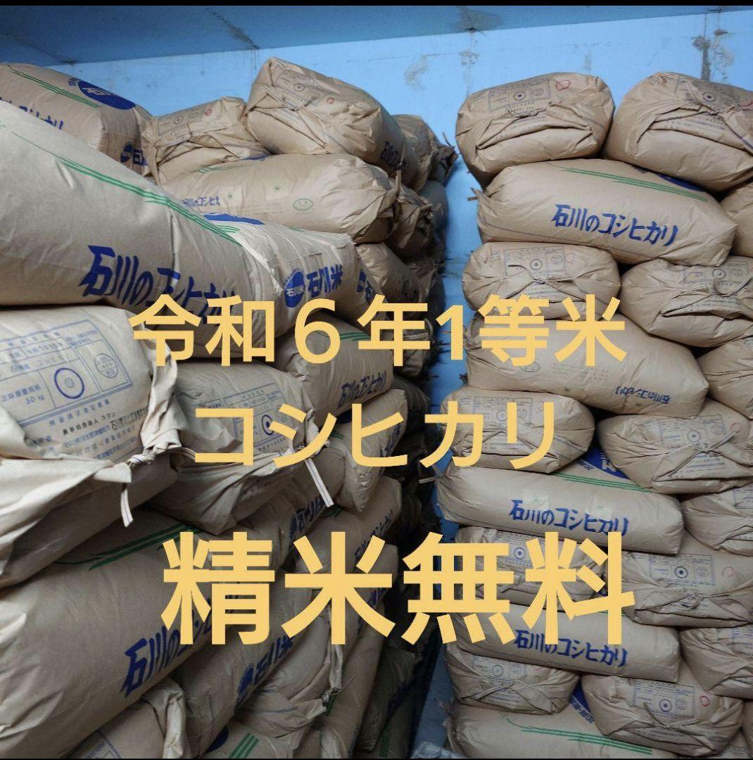令和6年 新米コシヒカリ30キロ 精米可