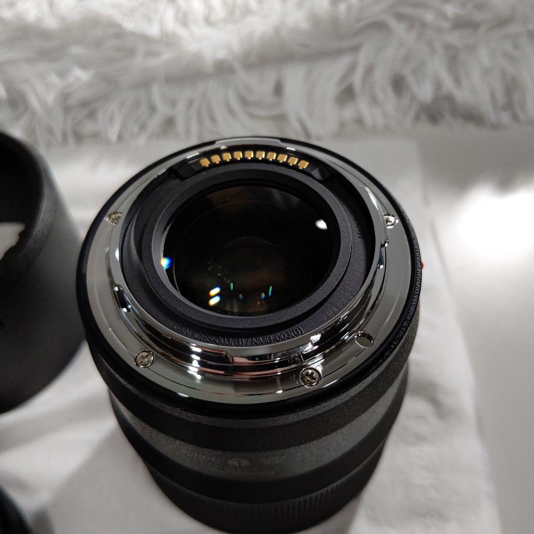 LUMIX 100mm f2.8 S-E100　Φ67【美品】