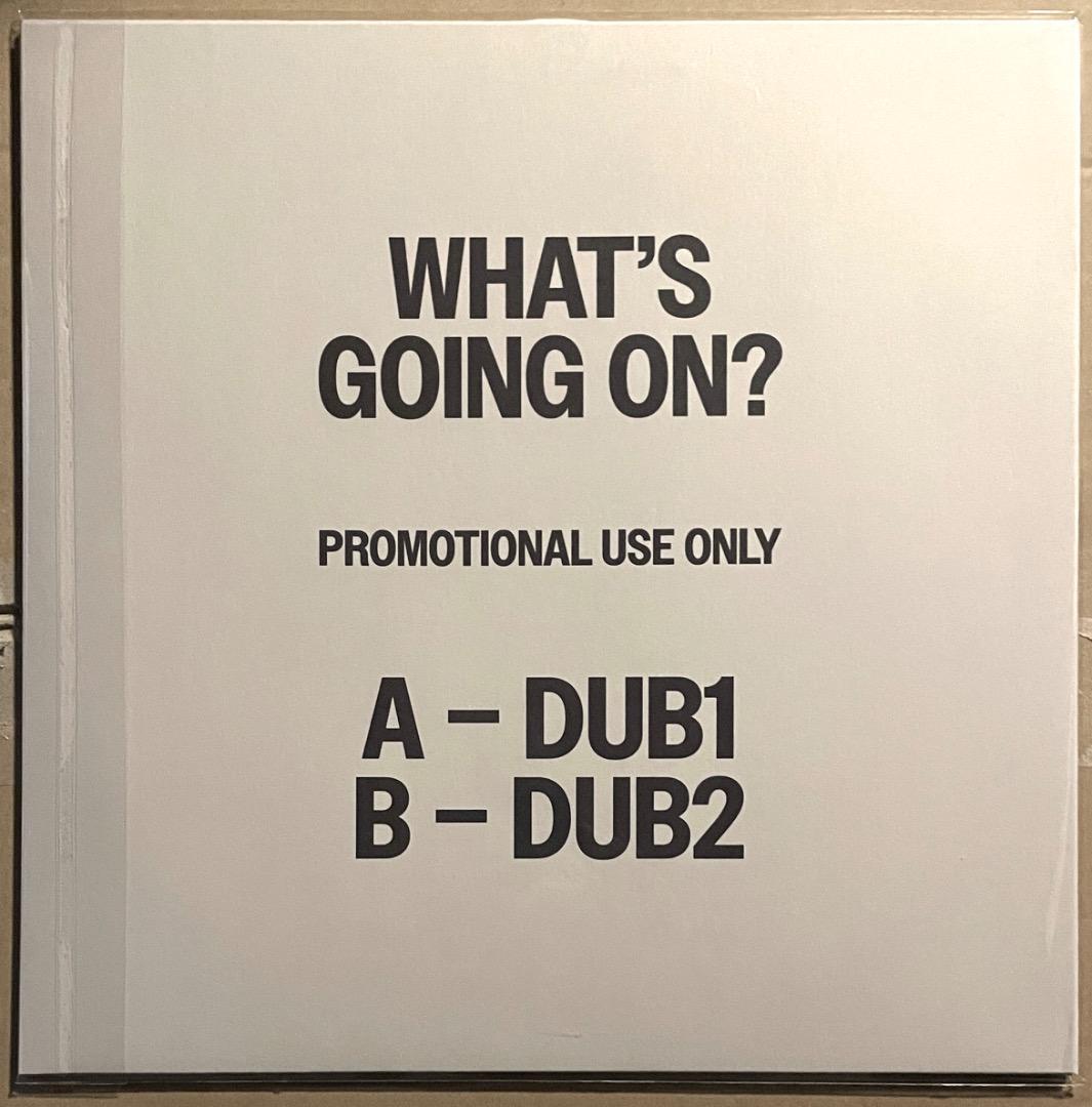 洋楽 M.Gaye What's Going On Mad Professor Dub