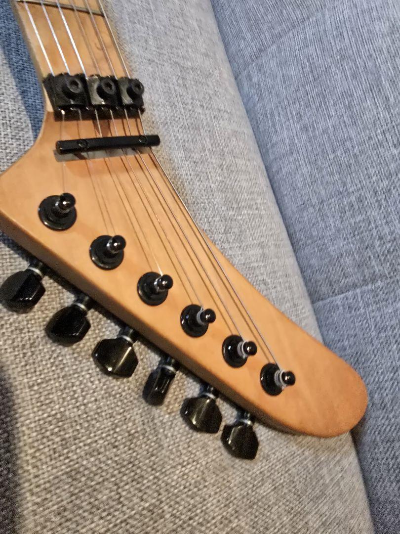 ESP カスタムオーダー エレキギター