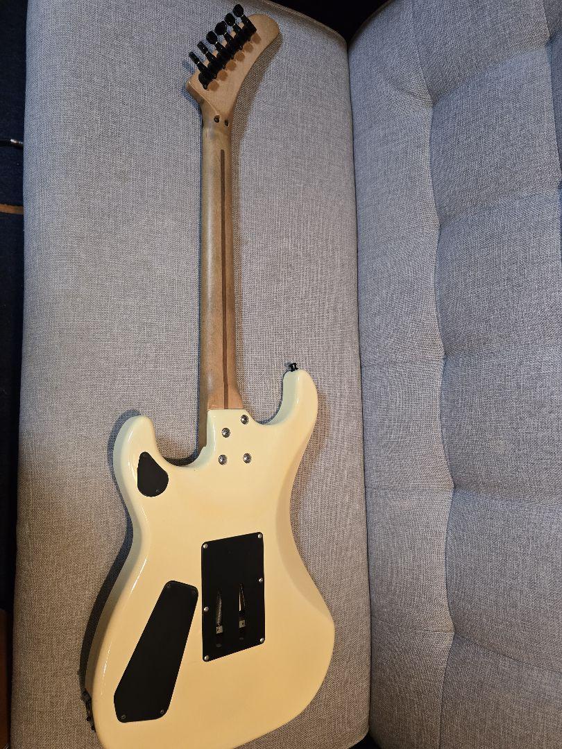 ESP カスタムオーダー エレキギター