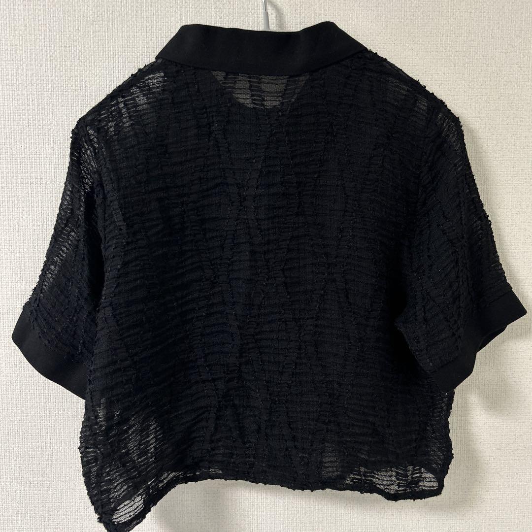 MUVEIL レースボーダーポロニットフリル付き黒ポロシャツ ZARA ニットポロシャツ レース クロップド丈 ショート丈