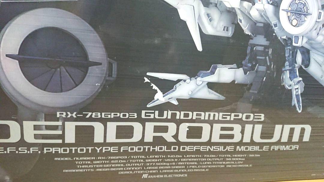 HG デンドロビウム