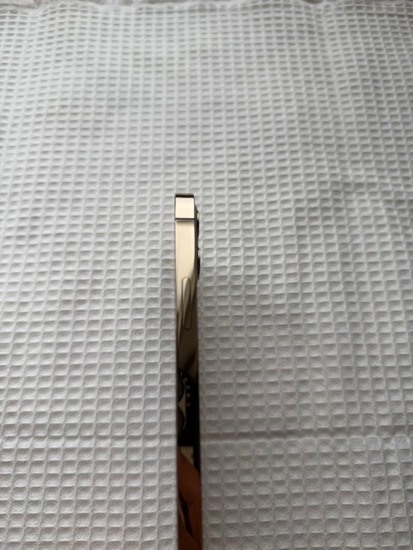 Apple iPhone 12 Pro ゴールド 本体 256GB WWW_OPDRERGINERDOGAN_COM