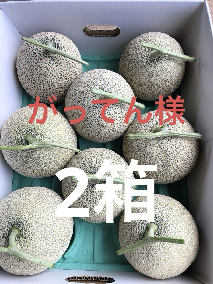 メロン農家直送　　訳あり　　7玉入り　　糖度は十分あります メロン農家直送 訳あり 7玉入り 糖度は十分あります - 果物