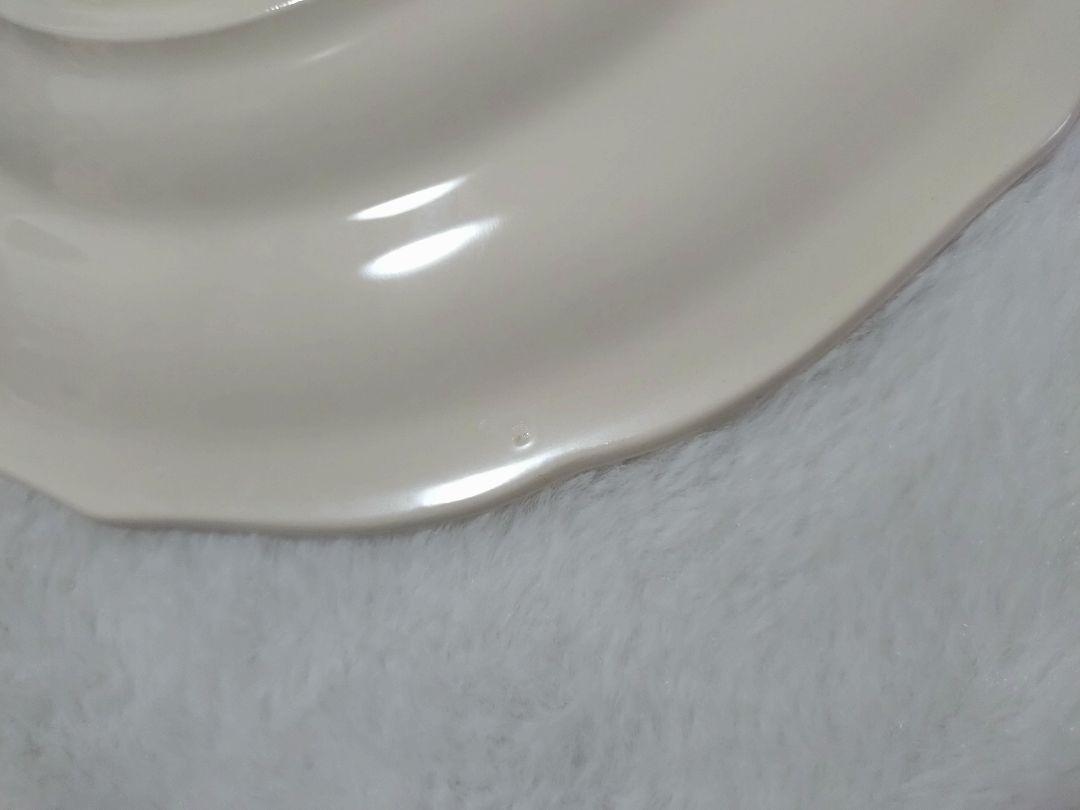 Gien オワゾパラディ26.5cmプレート