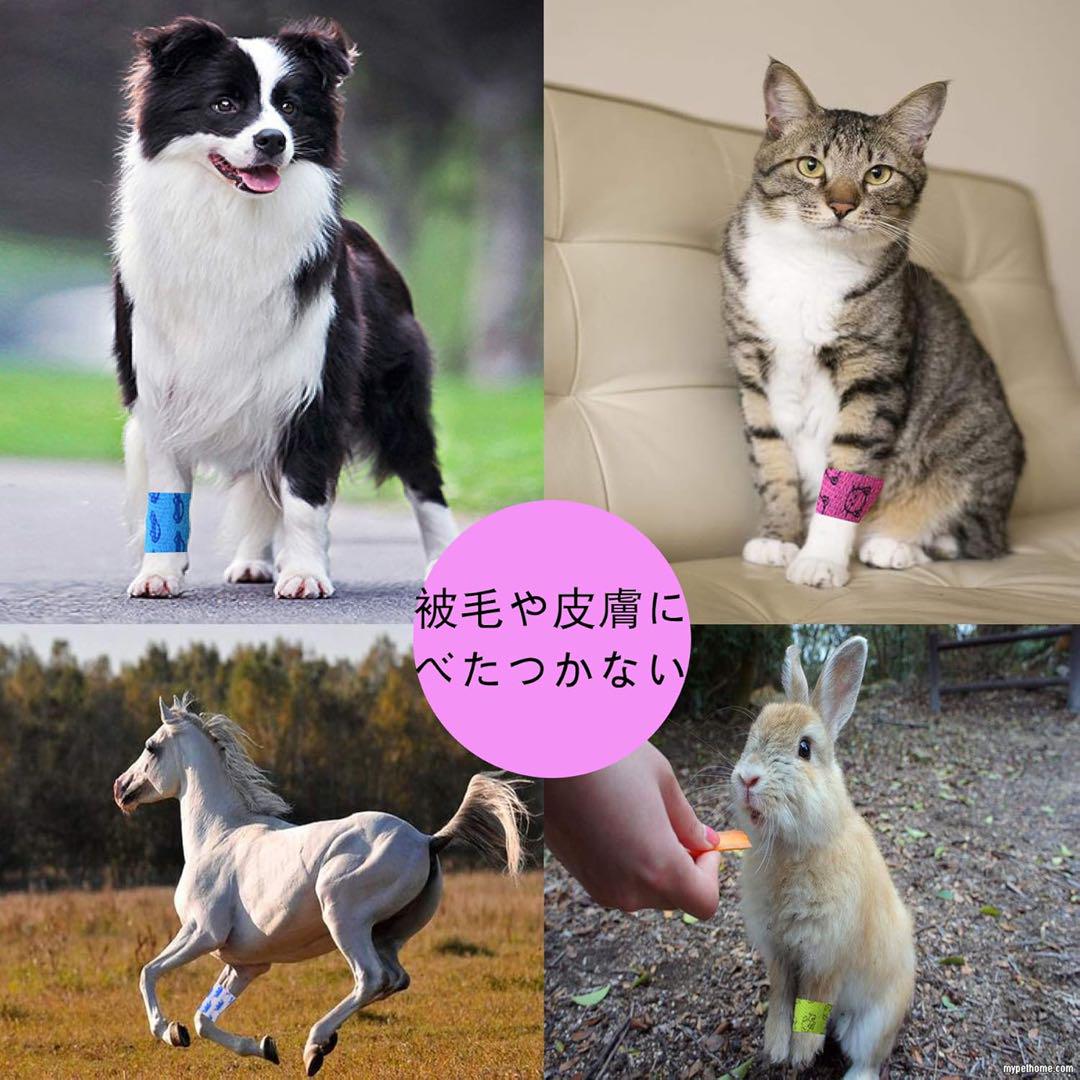 ペットフレックス くっつく包帯 弾性包帯 包帯 ネット ペット包帯 48個セット